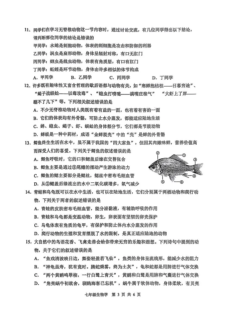 四川省宜宾市2024--2025学年七年级上学期生物期末试卷第3页