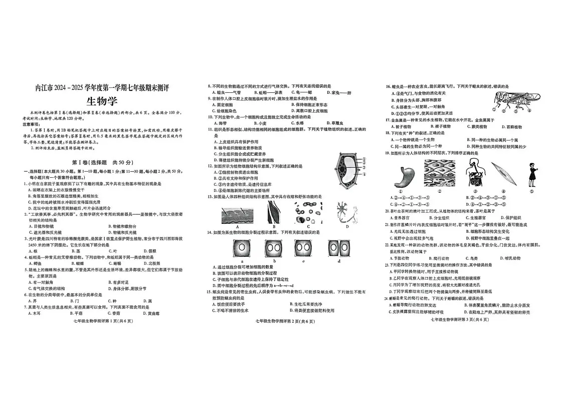 四川省内江市第六中学2024-2025学年七年级上学期期末考试生物试题第1页