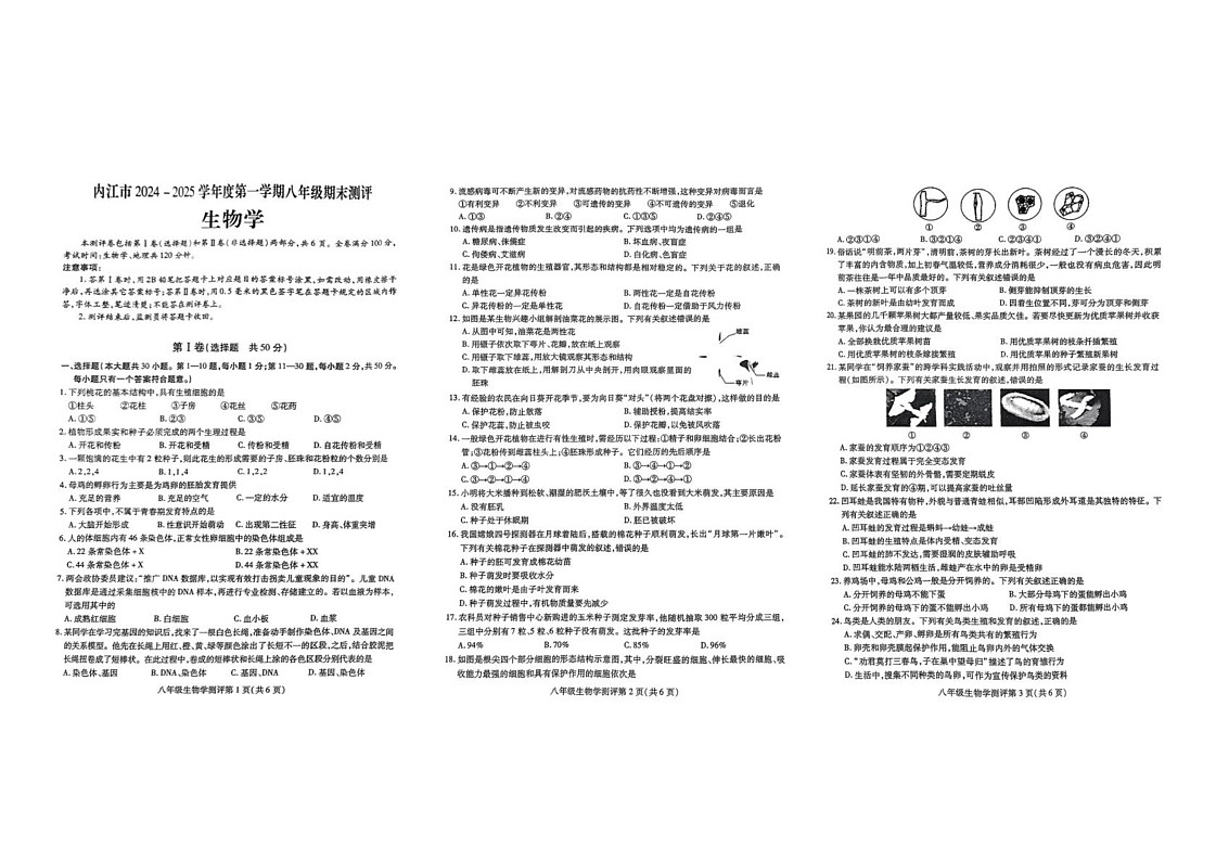 四川省内江市第六中学2024-2025学年八年级上学期期末考试生物试题第1页