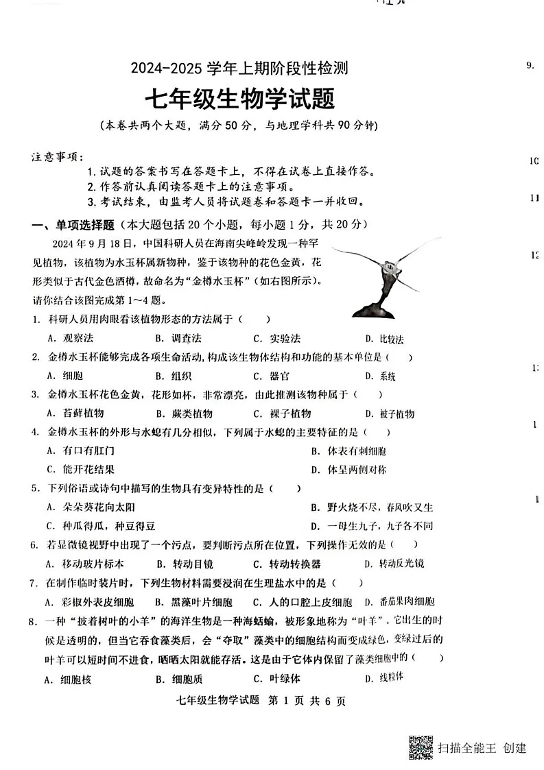 重庆市巴南区2024-2025学年七年级上学期1月期末生物试题第1页