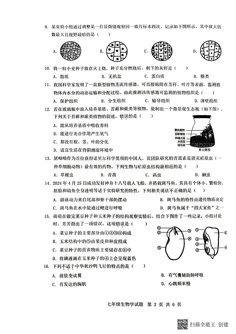重庆市巴南区2024-2025学年七年级上学期1月期末生物试题第2页