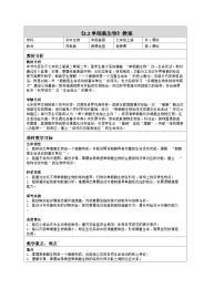 七年级上册(2024)单细胞生物表格教案设计