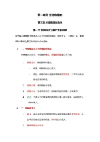 初中生物人教版（2024）七年级上册（2024）细胞通过分裂产生新细胞导学案及答案