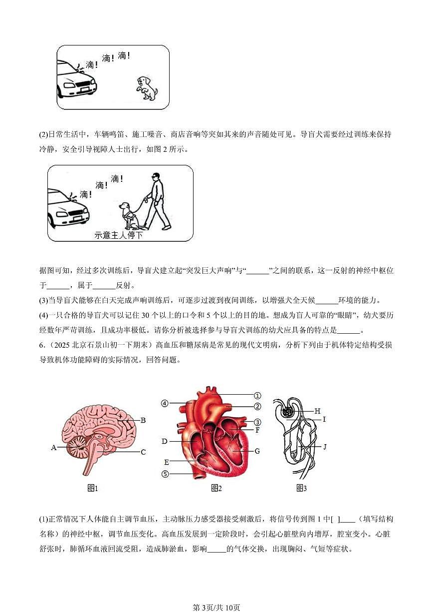 2025北京初一(下)期末生物汇编:人体生命活动的调节章节综合(非选择题)第3页