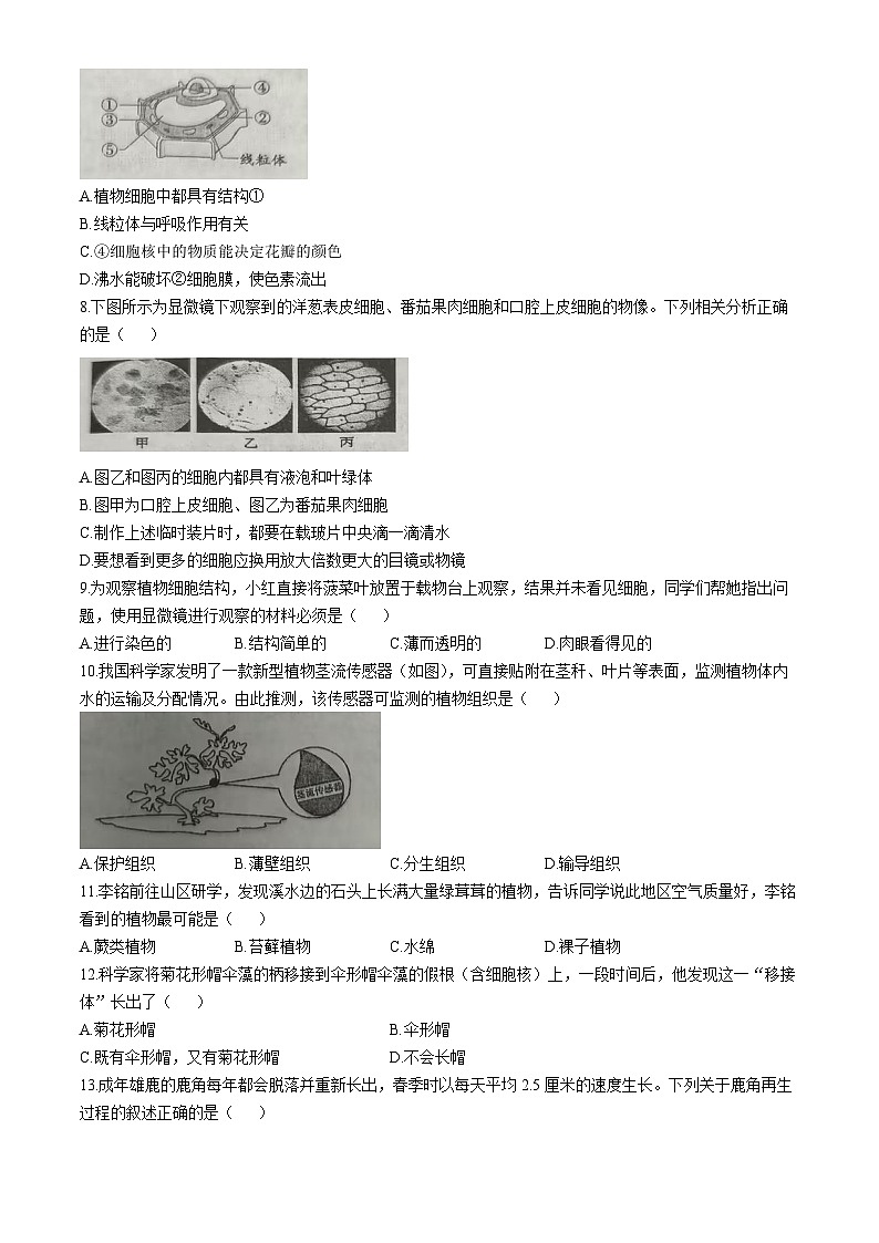 河南省洛阳市洛宁县2025-2026学年七年级上学期期中 生物试题第2页