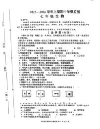 河南省三门峡市渑池县2025-2026学年七年级上学期11月期中 生物试题