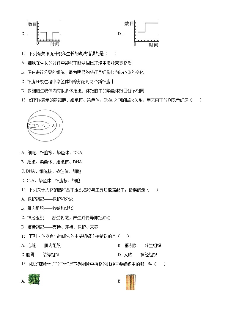 黑龙江省哈尔滨市第六十九中学校2025-2026学年七年级上学期期中 生物试题第3页