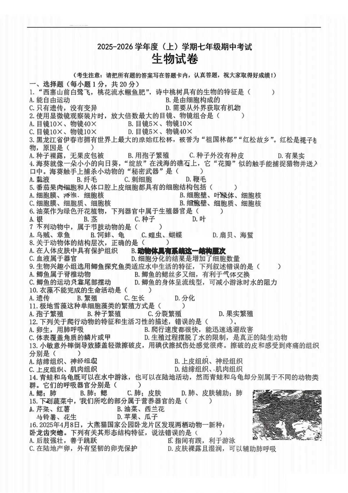黑龙江省哈尔滨市松雷中学2025-2026学年七年级上学期期中考试 生物试题第1页