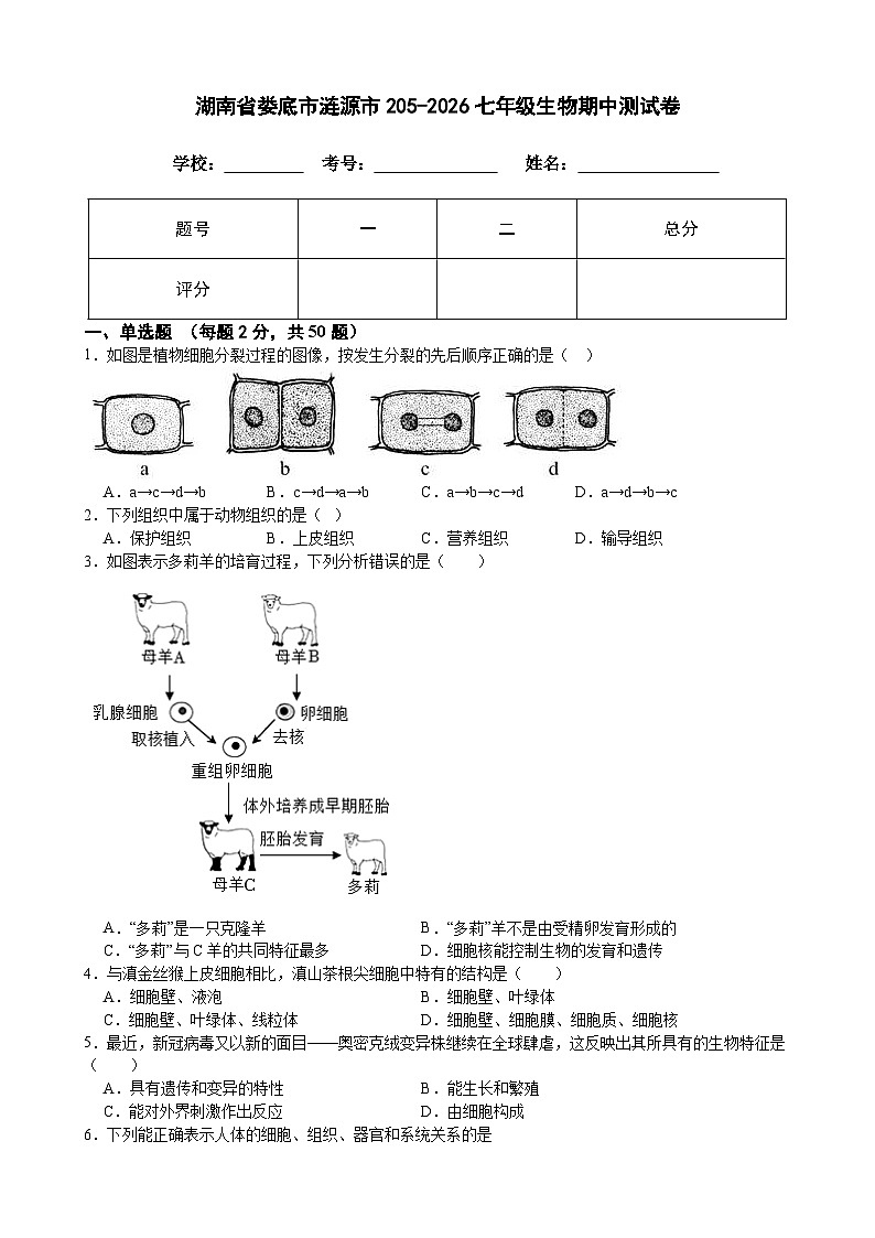 湖南省娄底市2025-2026学年七年级上学期11月期中 生物试题第1页