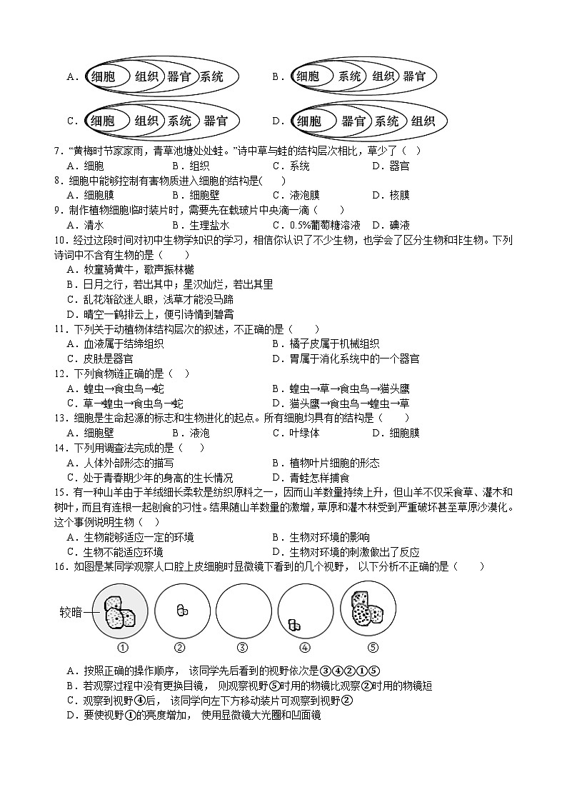 湖南省娄底市2025-2026学年七年级上学期11月期中 生物试题第2页