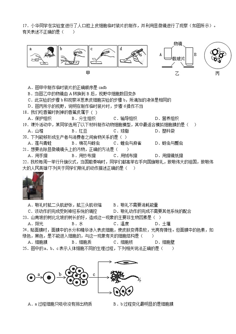 湖南省娄底市2025-2026学年七年级上学期11月期中 生物试题第3页