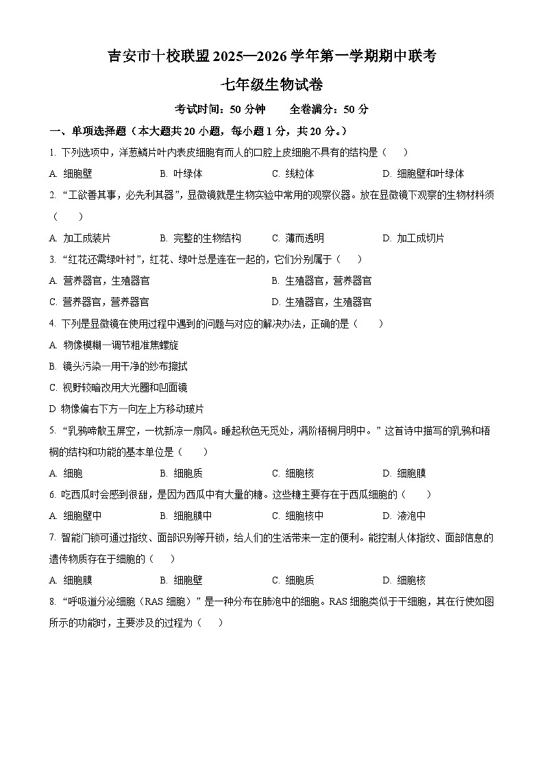 江西省吉安市十校联盟2025-2026学年七年级上学期期中 生物学试题第1页