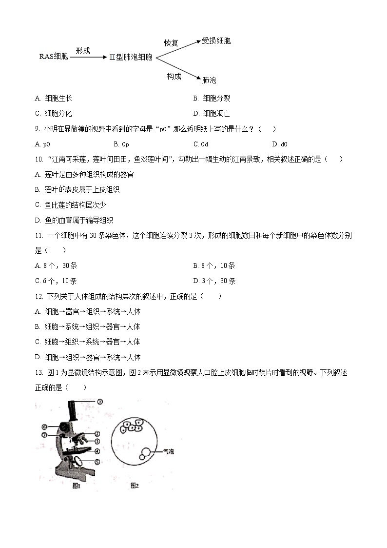 江西省吉安市十校联盟2025-2026学年七年级上学期期中 生物学试题第2页