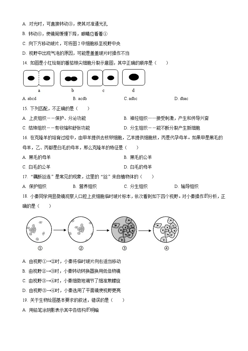 江西省吉安市十校联盟2025-2026学年七年级上学期期中 生物学试题第3页