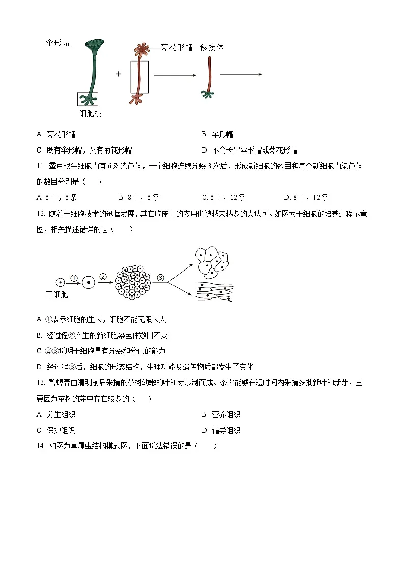 江西省萍乡市2025-2026学年七年级上学期期中 生物学试题第3页