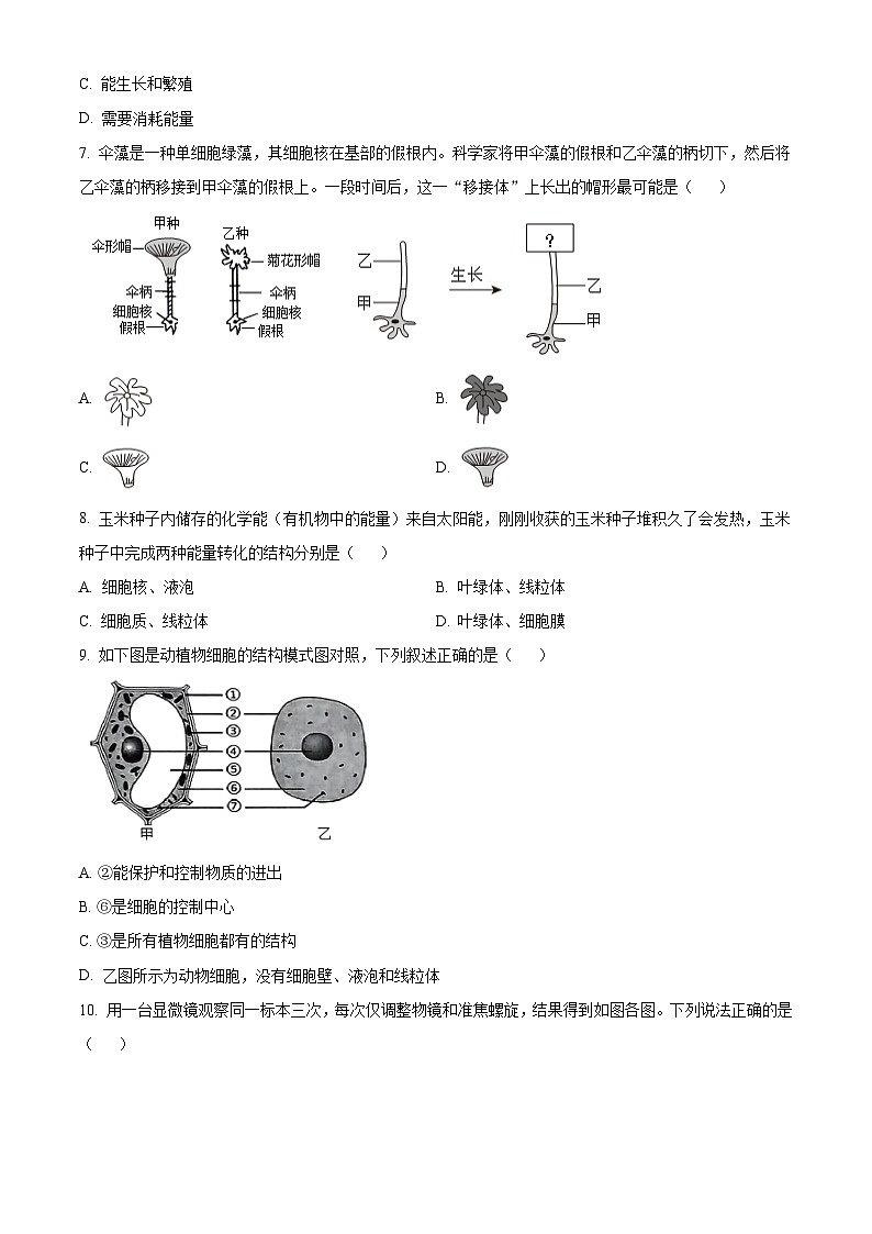 山东省滨州市博兴县教育集团2025-2026学年七年级上学期期中 生物试题第2页