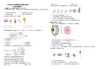 四川省泸州市合江县第五片区2025-2026学年七年级上学期期中联考 生物试题