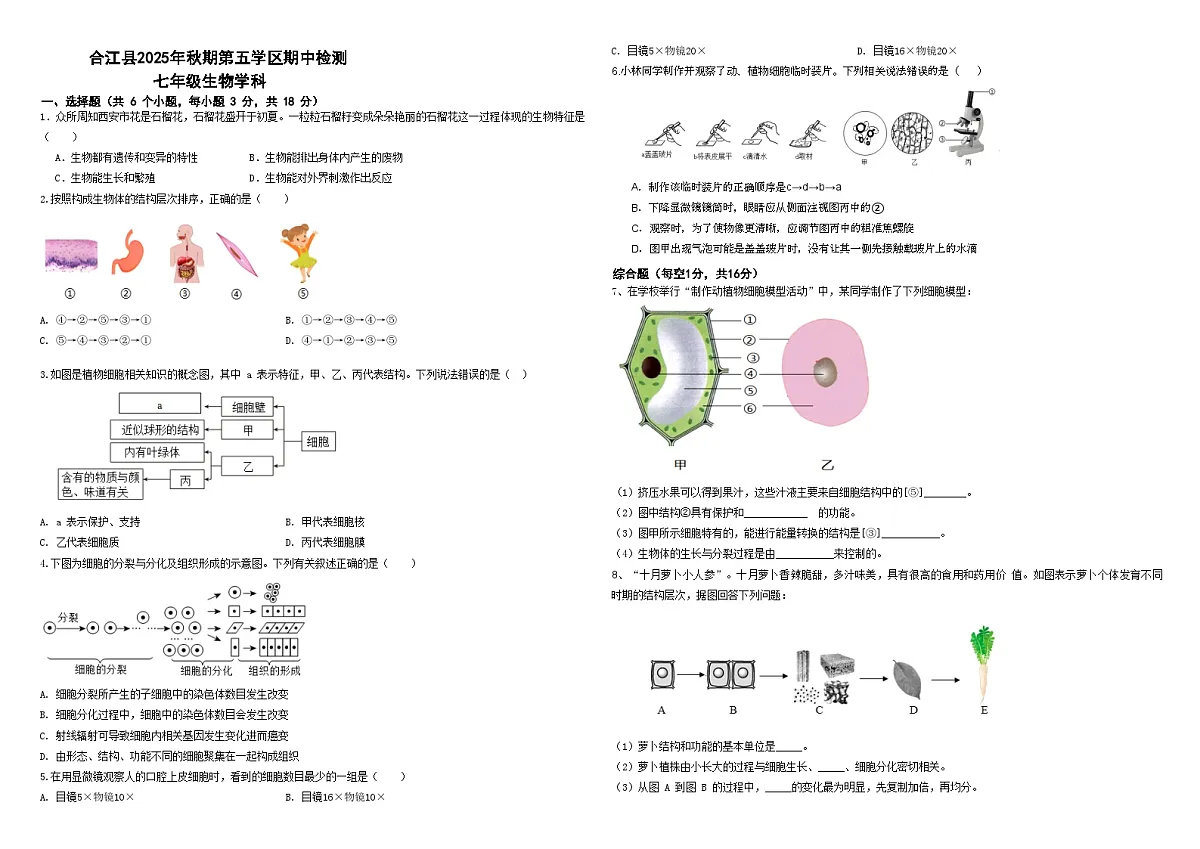 四川省泸州市合江县第五片区2025-2026学年七年级上学期期中联考 生物试题第1页
