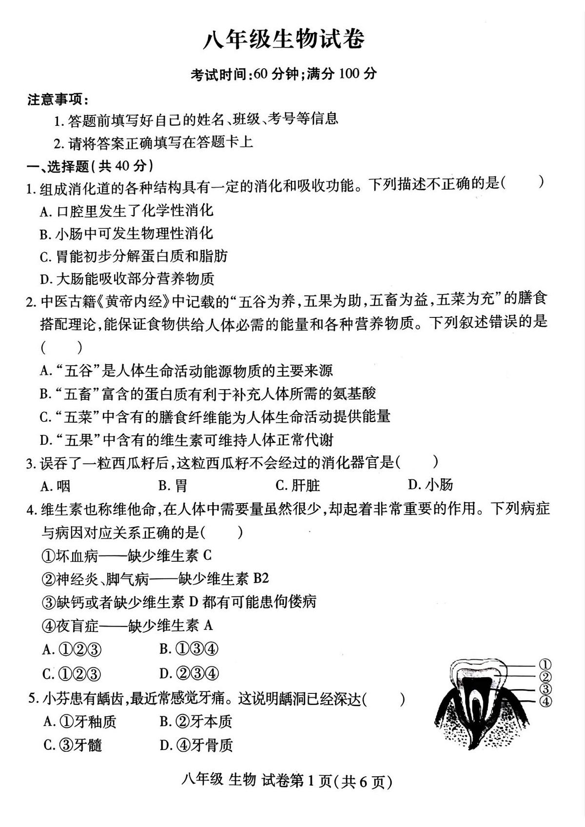 河南省洛阳市瀍河区2025-2026学年八年级上学期期中 生物试卷第1页