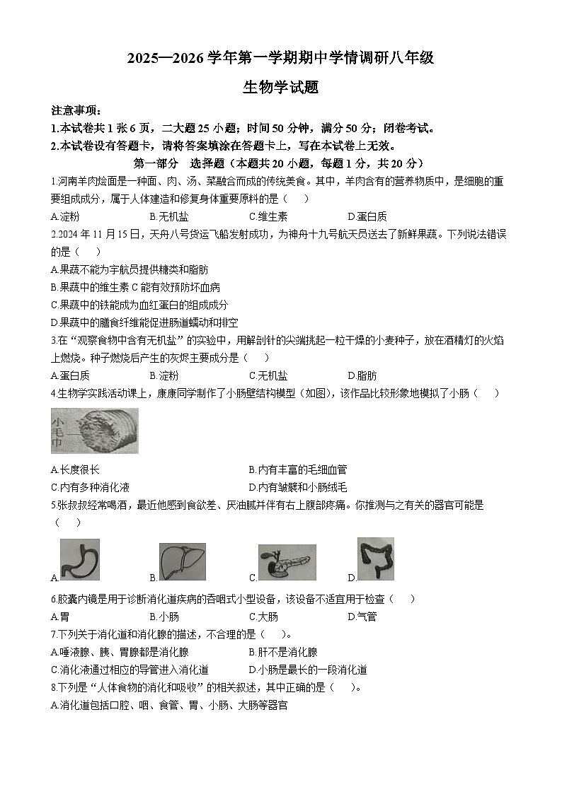 河南省洛阳市洛宁县2025-2026学年八年级上学期期中 生物试卷第1页