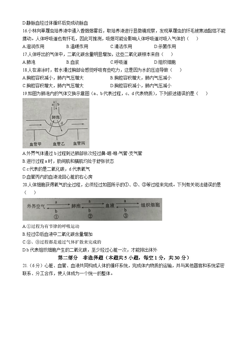 河南省洛阳市洛宁县2025-2026学年八年级上学期期中 生物试卷第3页