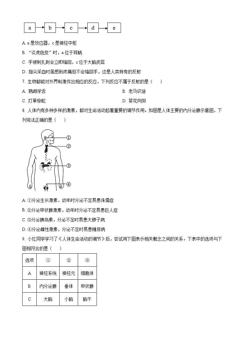 辽宁省大连市高新区2025-2026学年八年级上学期期中 生物试卷第2页