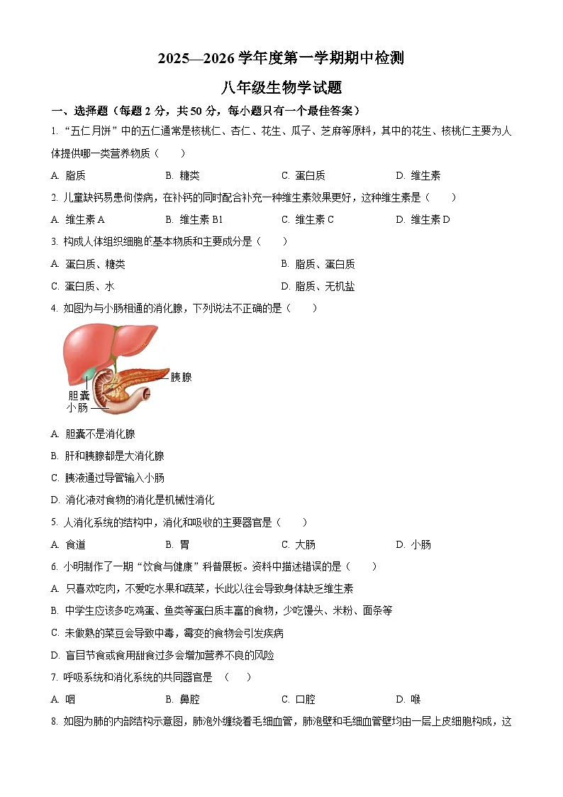 山东省济宁市邹城市2025-2026学年八年级上学期期中 生物学试题第1页