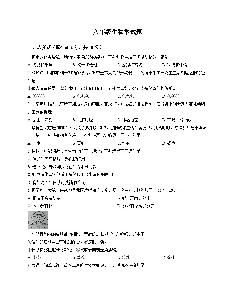 山东省淄博市周村区2025-2026学年八年级上册 生物期中考试试卷第1页