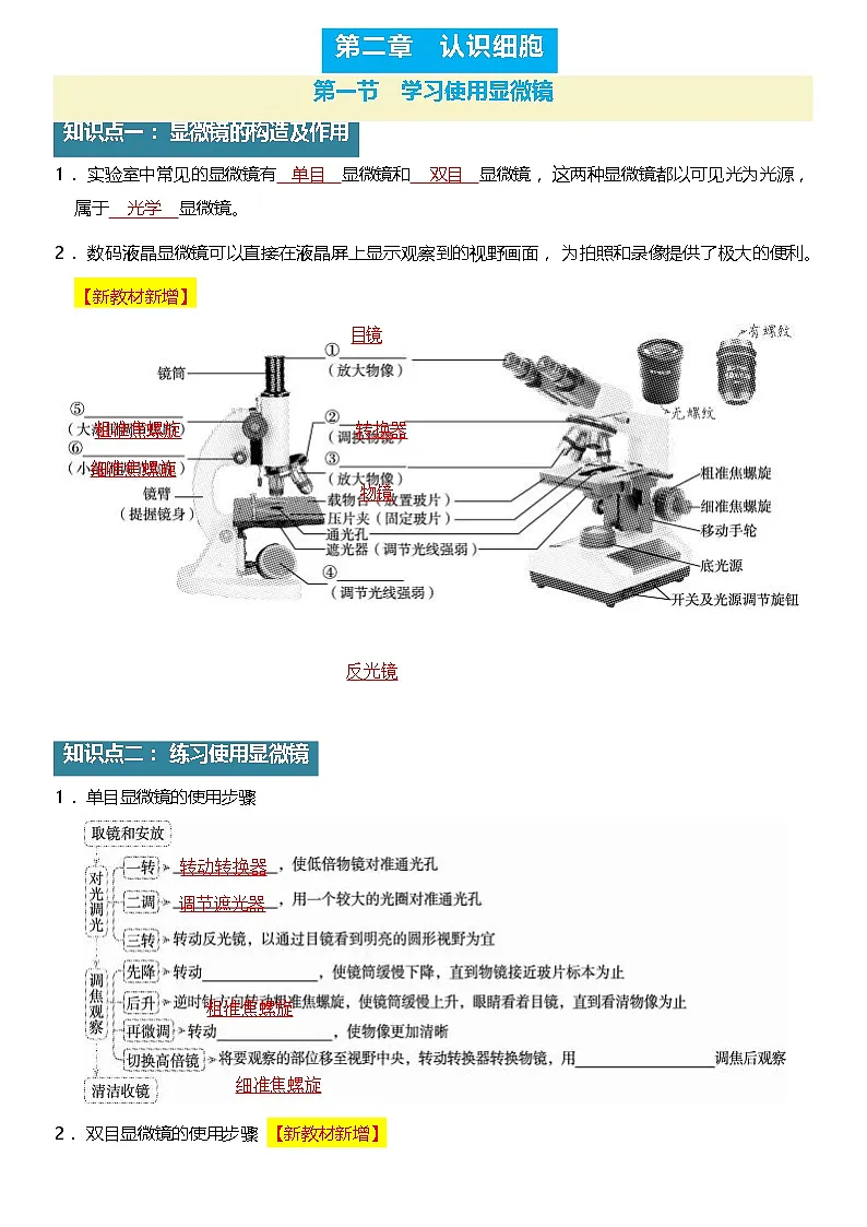 人教版(2024)七年级上册生物期末复习全册知识点梳理讲义第3页