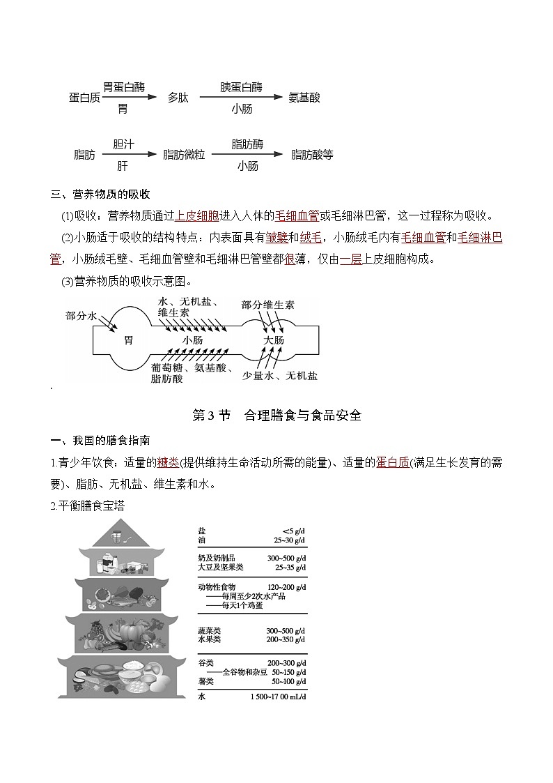 苏教版(2024)八年级上册生物期末复习必背考点清单 讲义第3页