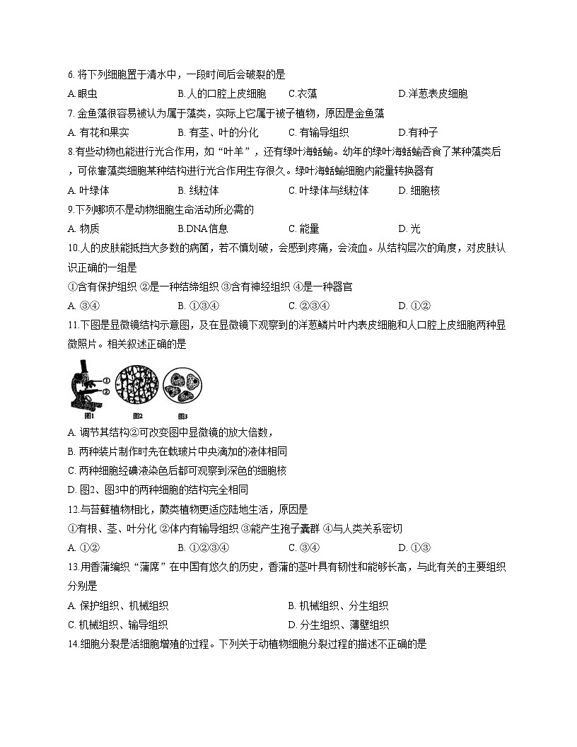 山东省日照市莒县2025_2026学年七年级上学期期中考试生物试题(文字版,含答案)第2页