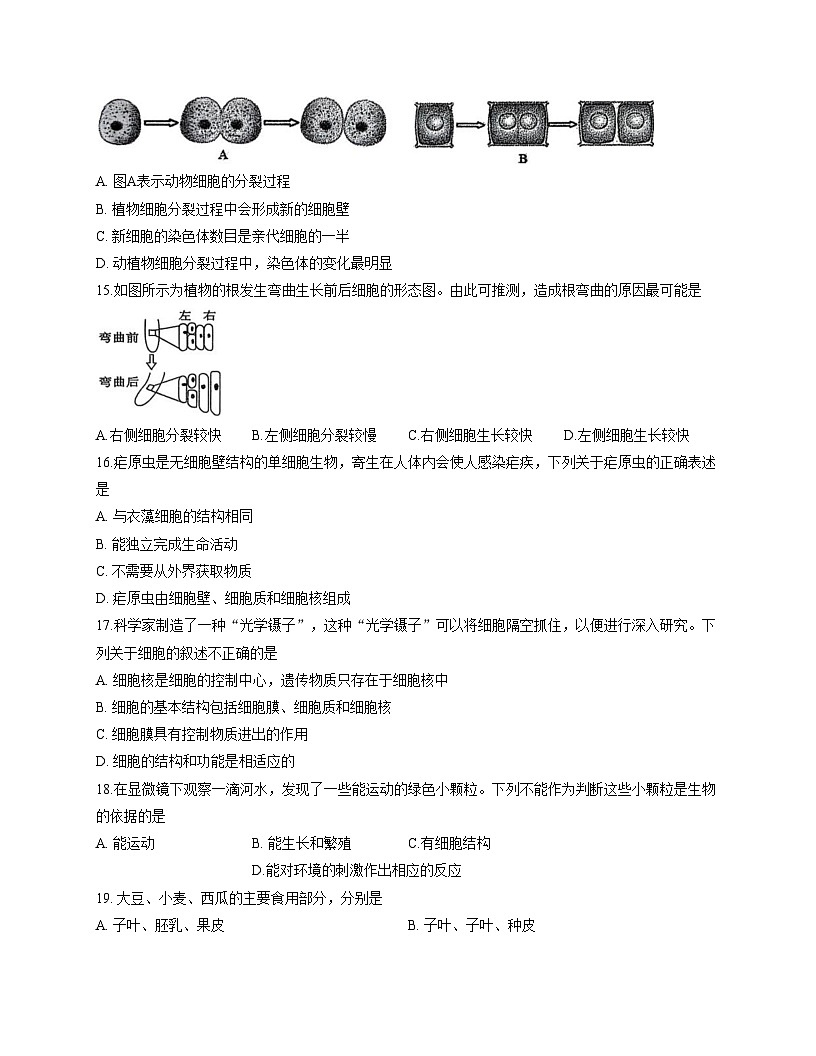 山东省日照市莒县2025_2026学年七年级上学期期中考试生物试题(文字版,含答案)第3页