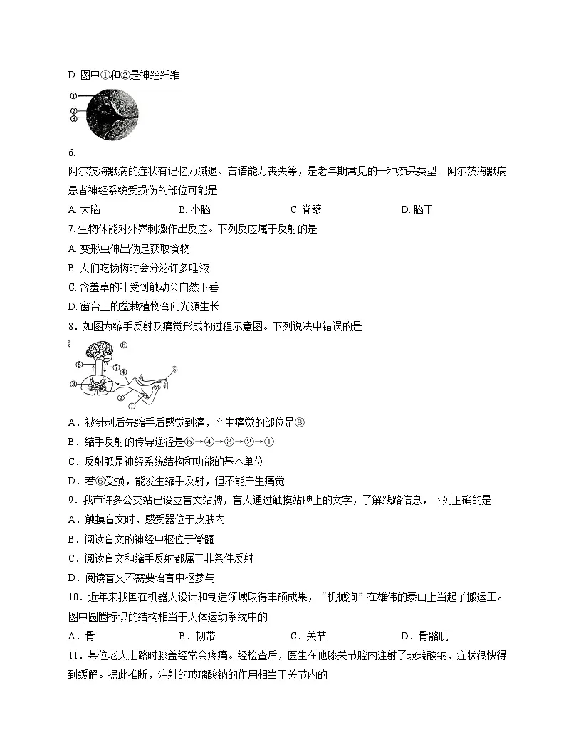 山东省临沂市临沭县2025_2026学年八年级上学期生物期中试卷(文字版,含答案)第2页