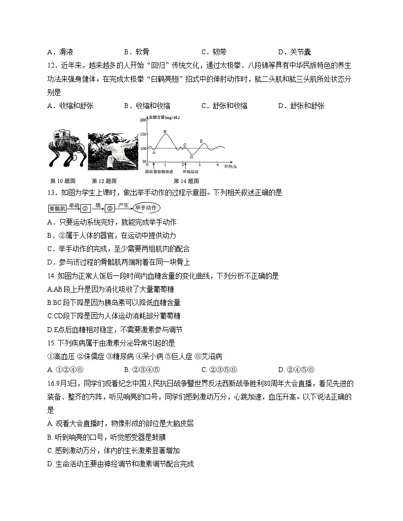 山东省临沂市临沭县2025_2026学年八年级上学期生物期中试卷(文字版,含答案)第3页