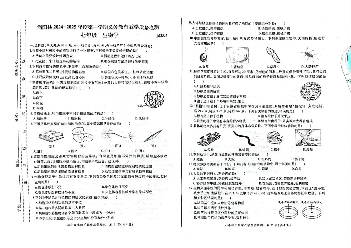 安徽省亳州市涡阳县2024-2025学年七年级上学期期末考试生物试卷第1页