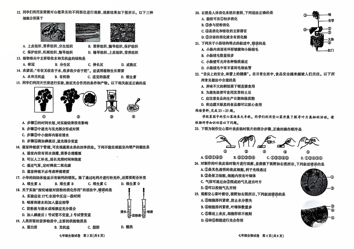 北京市朝阳区2024-2025学年七年级上学期期末检测生物试题第2页