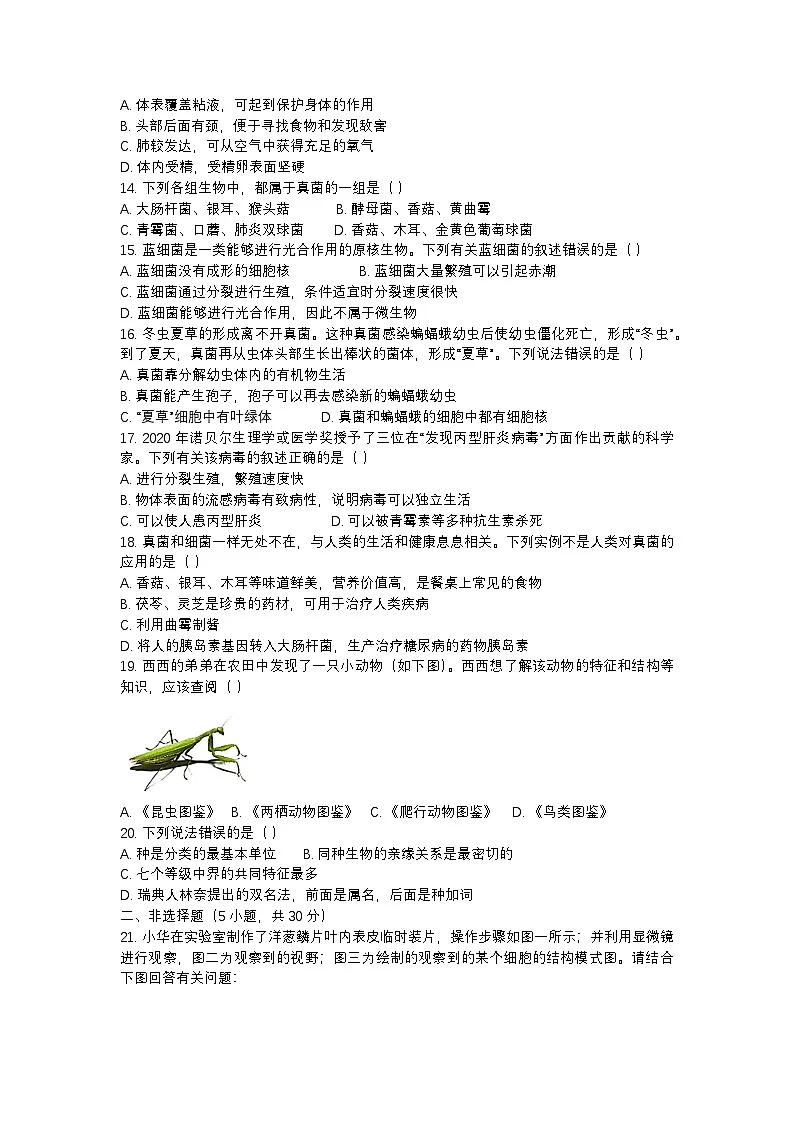 河南省南阳市邓州市2024-2025学年七年级上学期期末生物学试题第3页