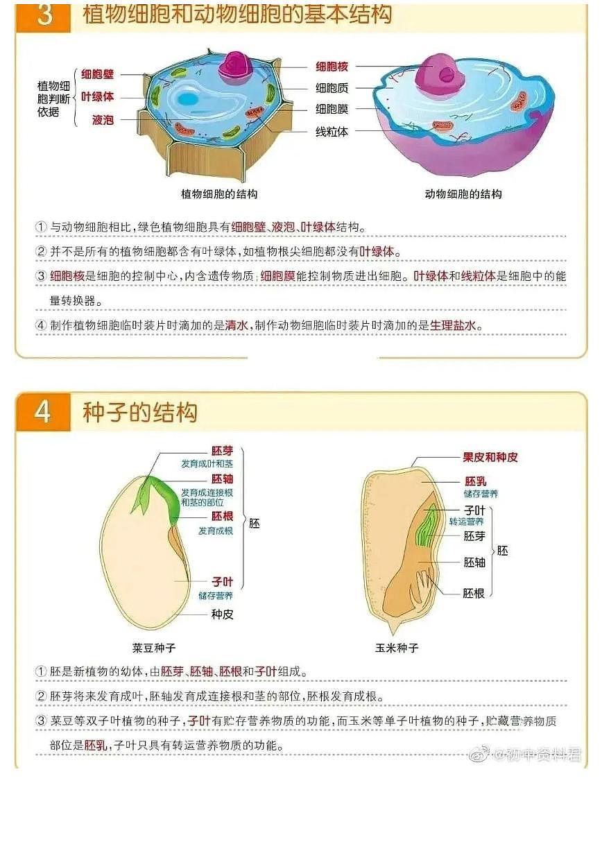 【初中人教版生物】必考知识点合集(精简版)第2页