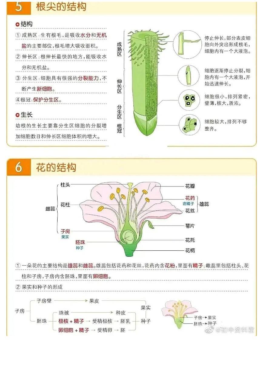【初中人教版生物】必考知识点合集(精简版)第3页