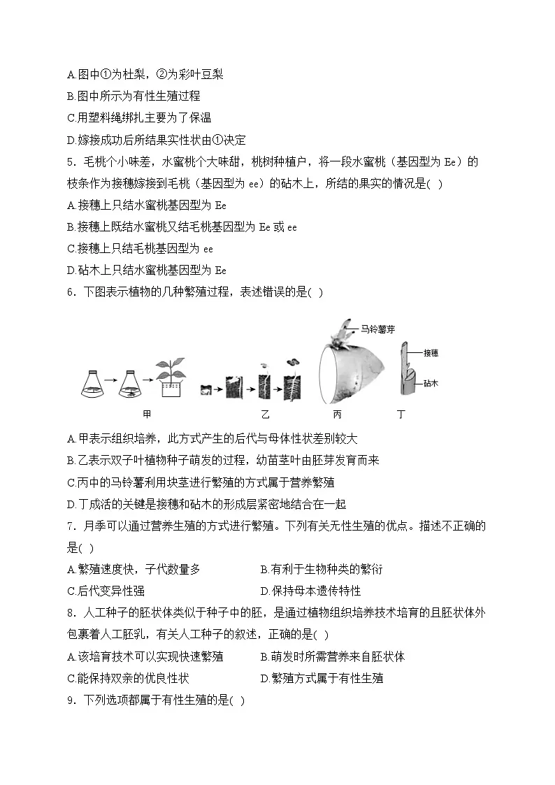 2026中考一轮复习专题四 生物的生殖和发育测试卷(含答案)第2页