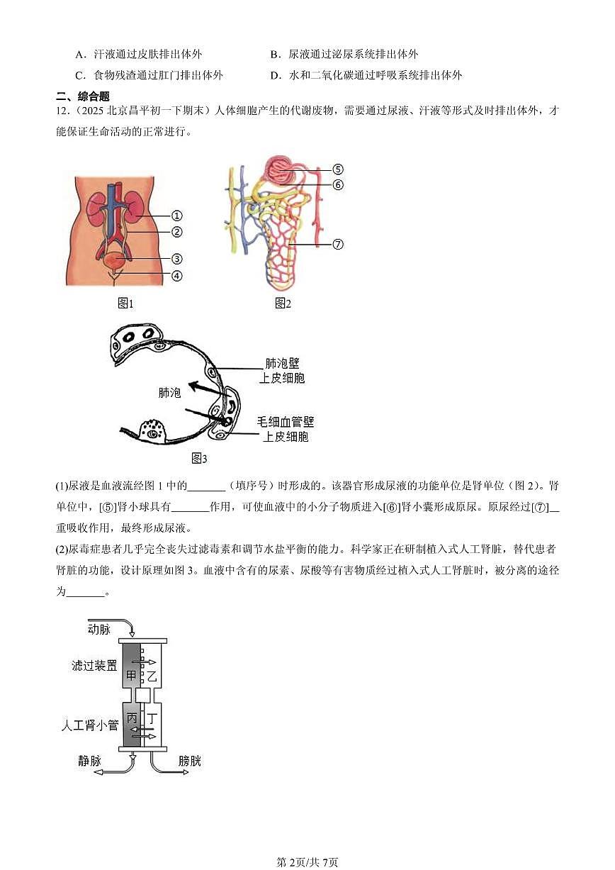 2025北京初一(下)期末生物汇编:汗液的排出(京改版)第2页