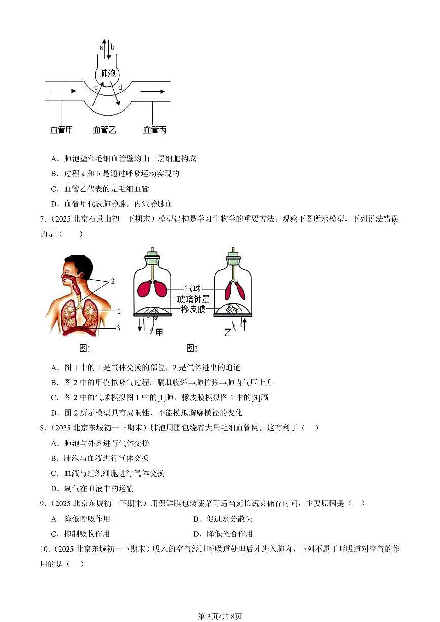 2025北京初一(下)期末生物汇编:生物的呼吸章节综合(京改版)(选择题)2第3页
