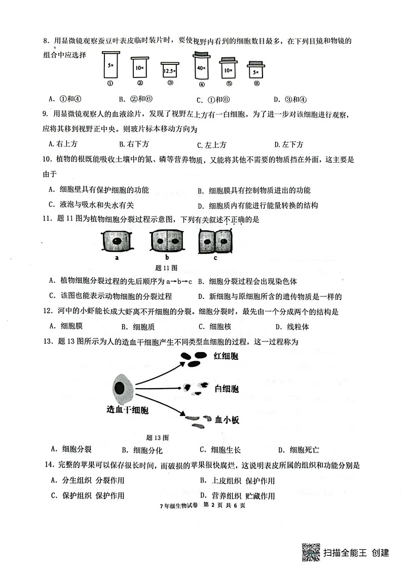 广东省惠州市惠东县2024-2025学年七年级上学期期末生物试题第2页
