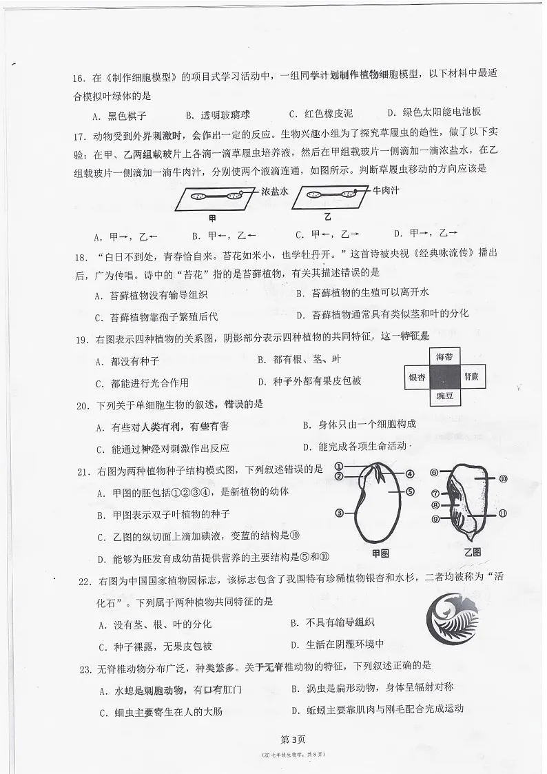 2024-2025学年七年级上学期增城区生物期末试题(学生版)第3页