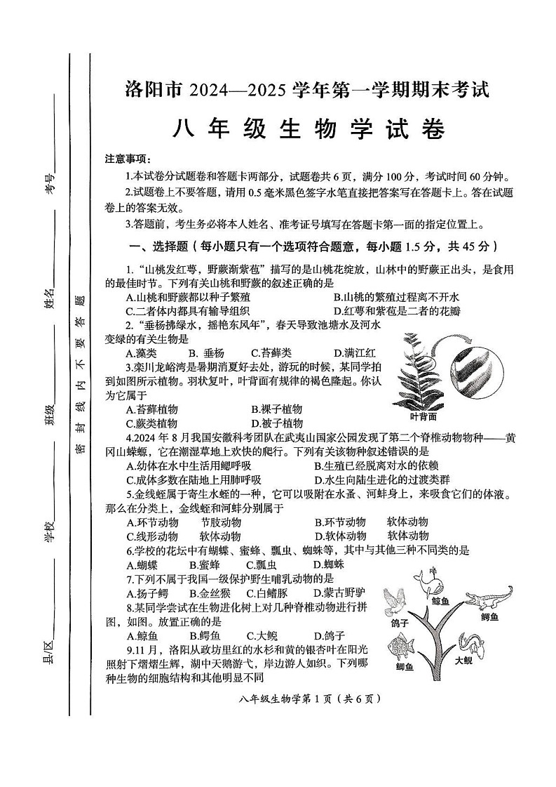 河南省洛阳市2024-2025学年八年级上学期期末考试生物学试卷第1页