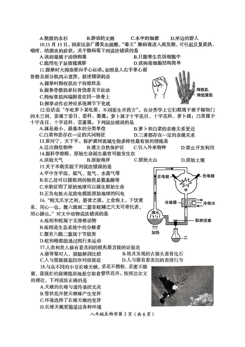 河南省洛阳市2024-2025学年八年级上学期期末考试生物学试卷第2页