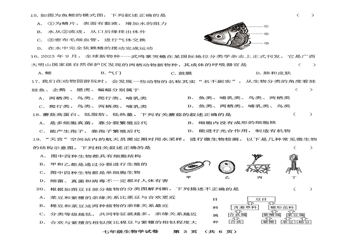 吉林省四平市伊通满族自治县2024-2025学年七年级上学期期末考试生物试题第2页