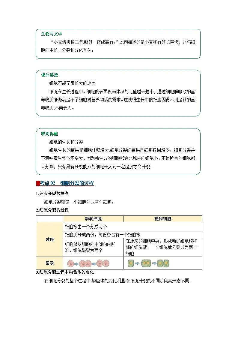 专题03 从细胞到生物体(word)2025-2026学年七上生物人教版2024期末复习学案知识点+习题(原卷版)第3页