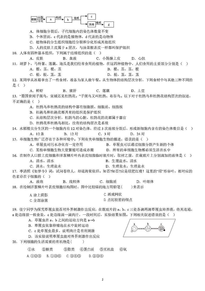 吉林省长春市农安县新农中学2025-2026学年七年级上学期期中考试生物试卷第2页
