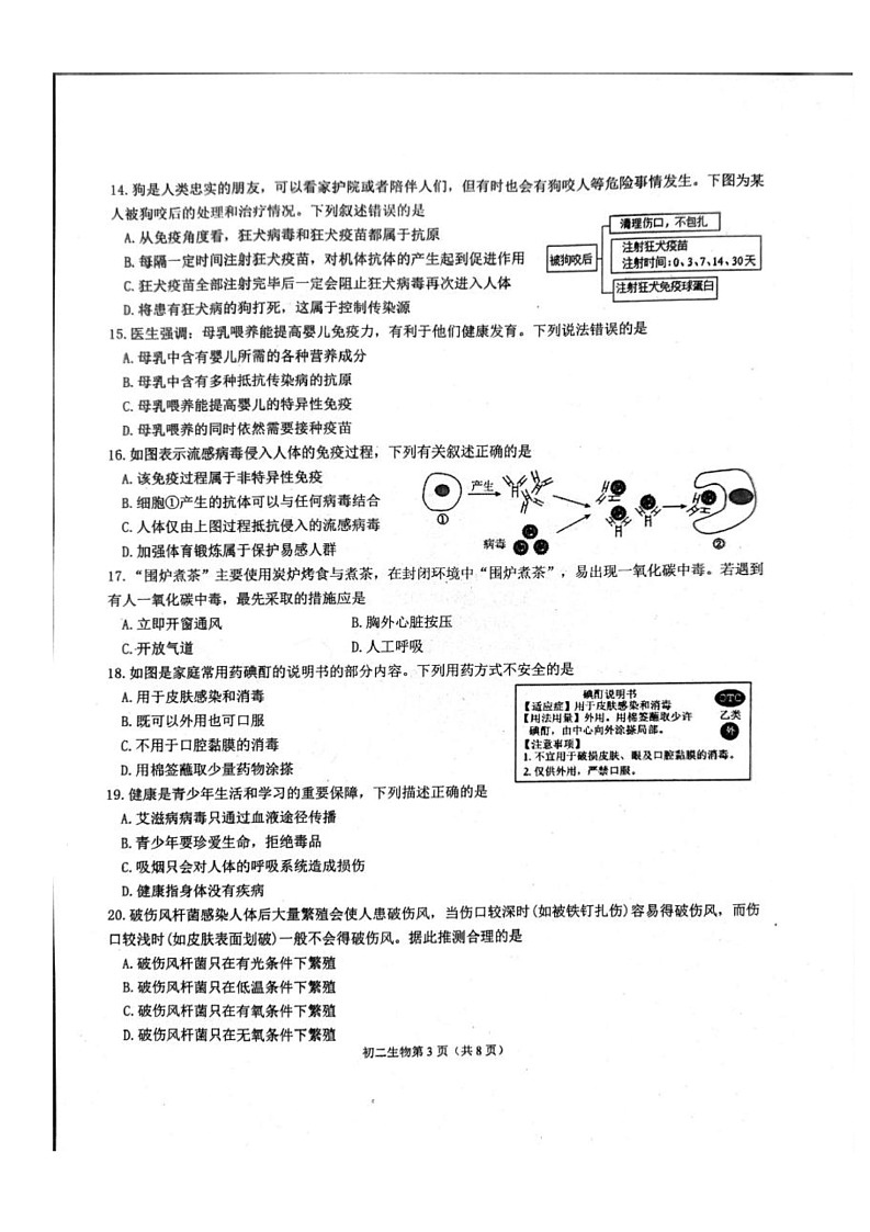 山东省烟台市莱山区2024-2025学年七年级下学期期末考试生物试题第3页